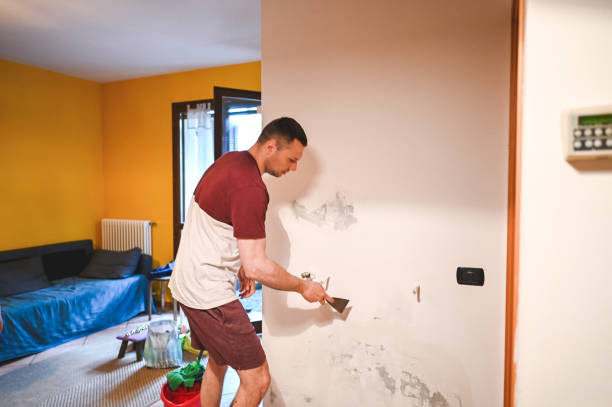 Best Emergency Mold Removal  in Tyrone, GA